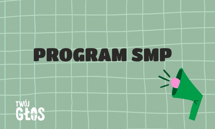 Program 22. SMP